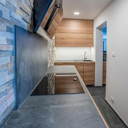 Apartment Tempfer & With New Wellness Ratece
