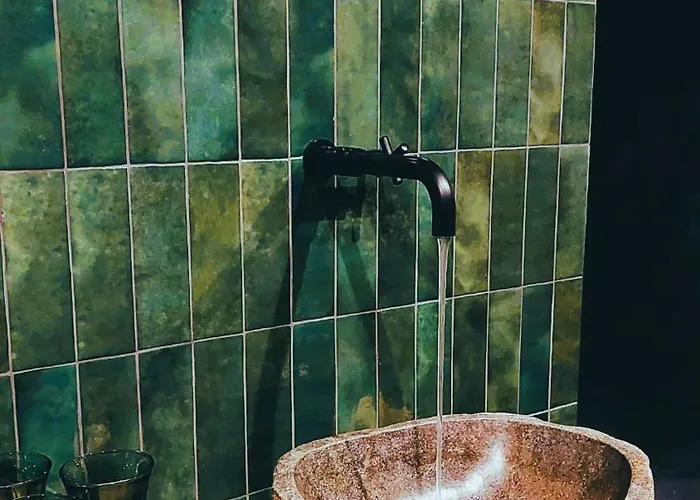 Daire Tempfer & With New Wellness *